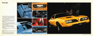 1978 Pontiac Firebird (Cdn)-04-05.jpg